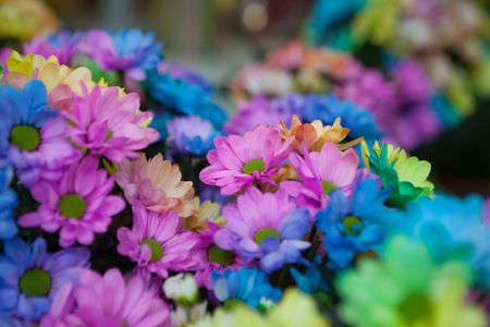 Vibrant Floral Symphony — 300-piece jigsaw puzzle