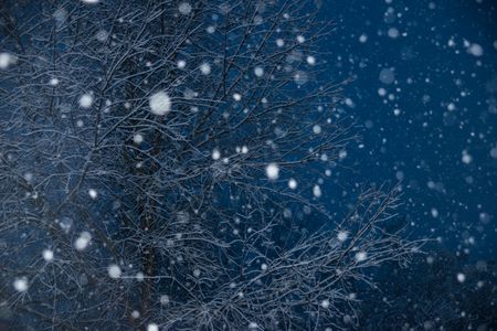 Winter Snowfall Night — 300-piece jigsaw puzzle