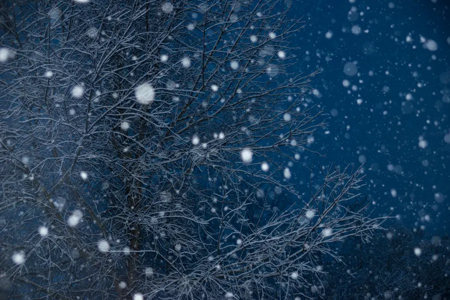 Winter Snowfall Night — 300-piece jigsaw puzzle