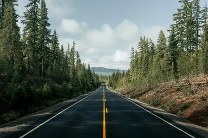 Endless Forest Road — 400-piece jigsaw puzzle