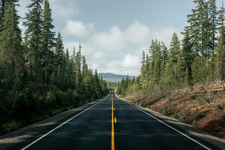 Endless Forest Road — 400-piece jigsaw puzzle