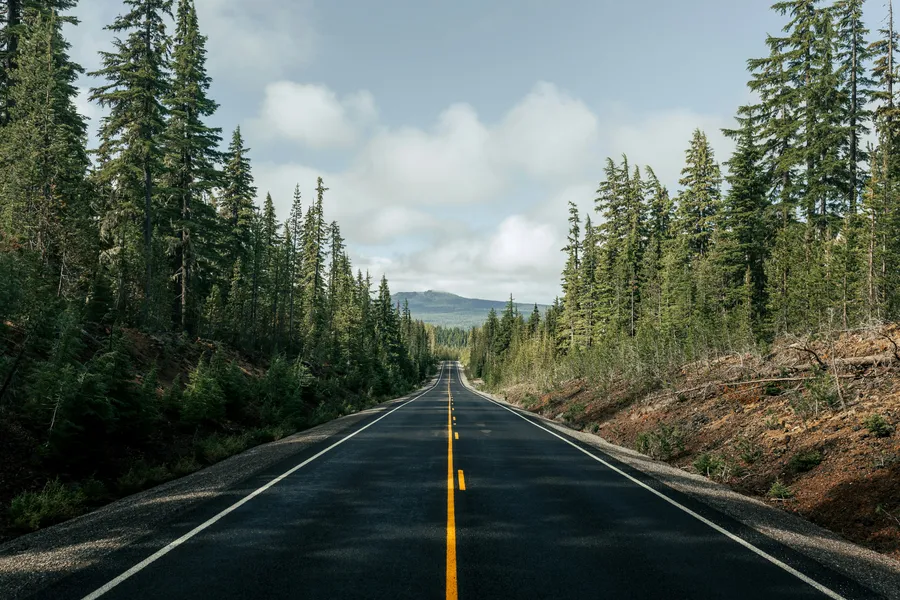 Endless Forest Road — 400-piece jigsaw puzzle
