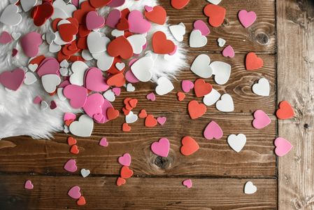 Scattered Hearts Serenade — 100-piece jigsaw puzzle