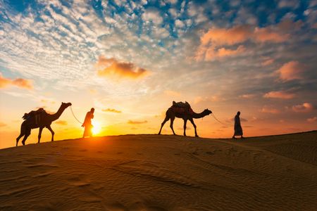 Desert Sunset Journey — 100-piece jigsaw puzzle