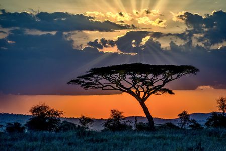 African Sunset Serenity — 200-piece jigsaw puzzle