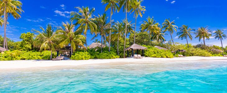 Tropical Beach Paradise — 300-piece jigsaw puzzle