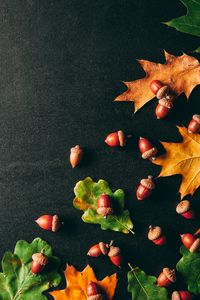 Autumn Leaves and Acorns — 200-piece jigsaw puzzle