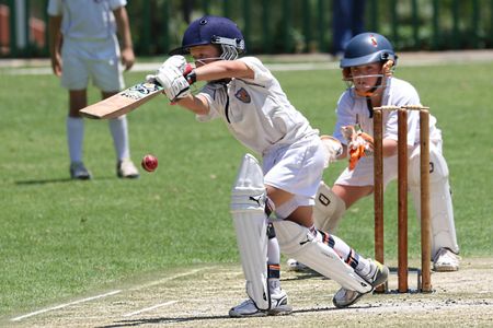 Youth Cricket Match — 100-piece jigsaw puzzle