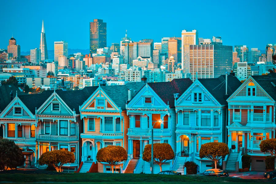 Painted Ladies at Dusk — 64-piece jigsaw puzzle