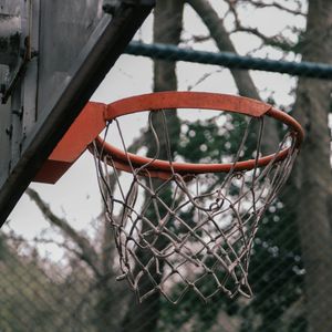 Rustic Basketball Hoop — 300-piece jigsaw puzzle