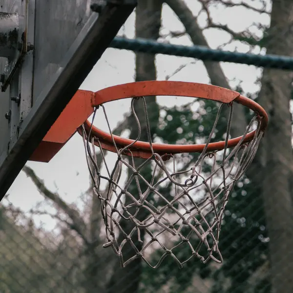 Rustic Basketball Hoop — 300-piece jigsaw puzzle