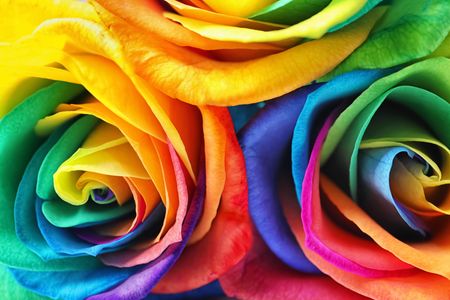 Vibrant Rainbow Roses — 100-piece jigsaw puzzle