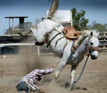 Rodeo Challenge — 300-piece jigsaw puzzle