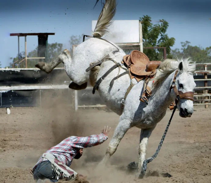 Rodeo-uitdaging — 300-stukjes legpuzzel