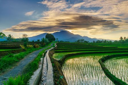 Serene Rice Terraces — 200-piece jigsaw puzzle