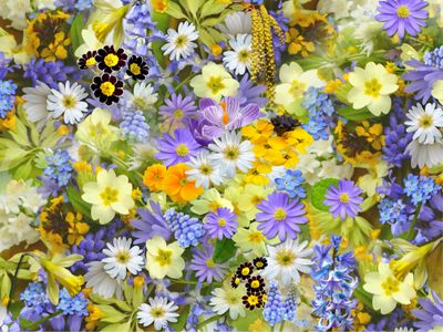 Vibrant Floral Symphony — 500-piece jigsaw puzzle