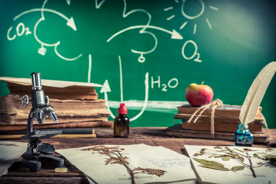 Study of Photosynthesis — 64-piece jigsaw puzzle