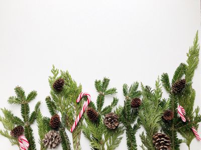 Festive Evergreen Garland — 150-piece jigsaw puzzle