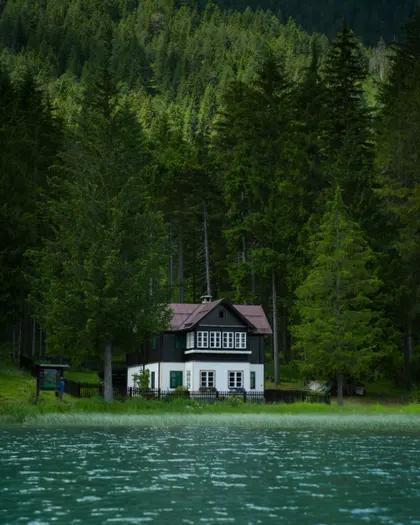 Wald-Rückzugsort am See — 300-Teile-Puzzle