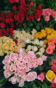 Vibrant Rose Bouquet — 200-piece jigsaw puzzle