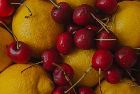 Juicy Bounty — 150-piece jigsaw puzzle