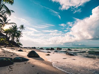 Serene Tropical Beach — 300-piece jigsaw puzzle