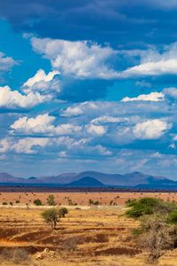 Serene African Savannah — 200-piece jigsaw puzzle