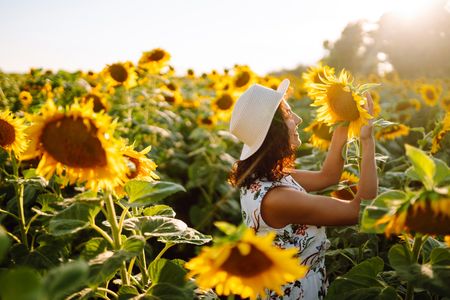 Sunlit Sunflower Field — 150-piece jigsaw puzzle