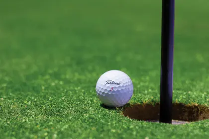 Golf Ball Near Hole — 200-piece jigsaw puzzle