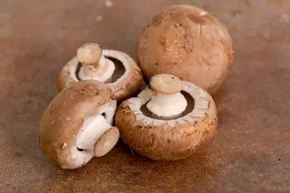 Rustic Mushrooms Display — 200-piece jigsaw puzzle