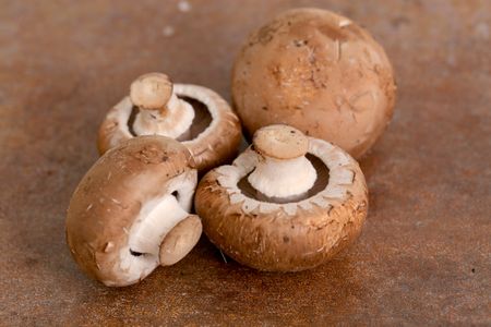 Rustic Mushrooms Display — 200-piece jigsaw puzzle