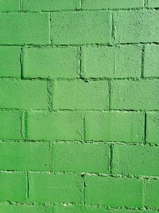 Verdant Brick Wall — 200-piece jigsaw puzzle
