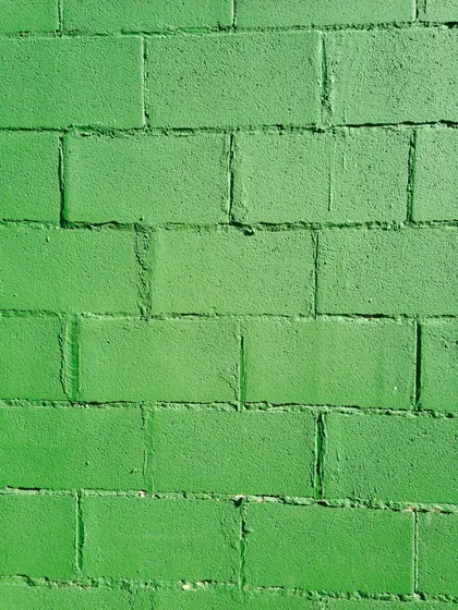 Verdant Brick Wall — 200-piece jigsaw puzzle
