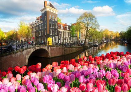 Tulips by the Canal — 300-piece jigsaw puzzle