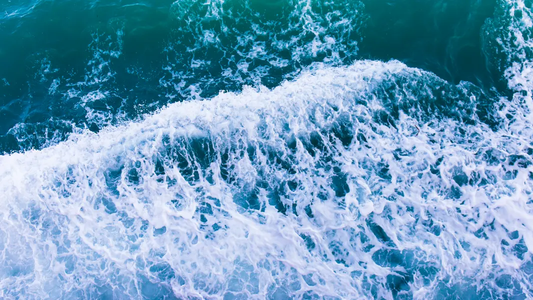 Ocean Waves Dance — 100-piece jigsaw puzzle