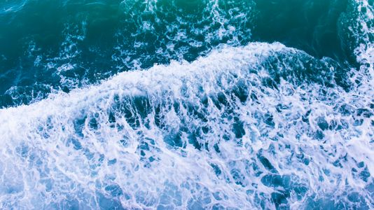 Ocean Waves Dance — 100-piece jigsaw puzzle