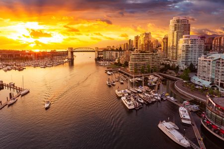Golden Waterfront — 150-piece jigsaw puzzle