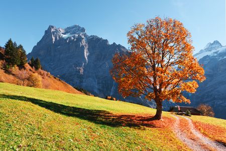 Autumn Mountain Meadow — 100-piece jigsaw puzzle