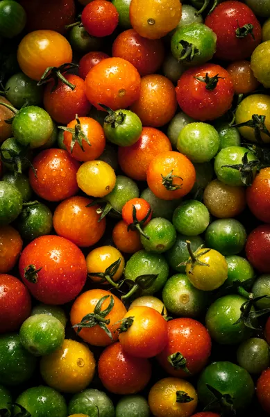 Vibrant Cherry Tomatoes — 500-piece jigsaw puzzle