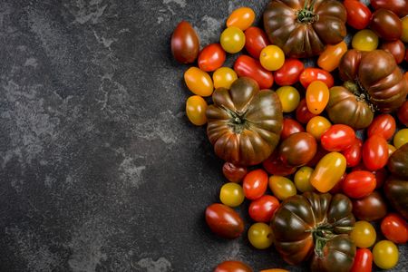 Colorful Tomato Medley — 200-piece jigsaw puzzle