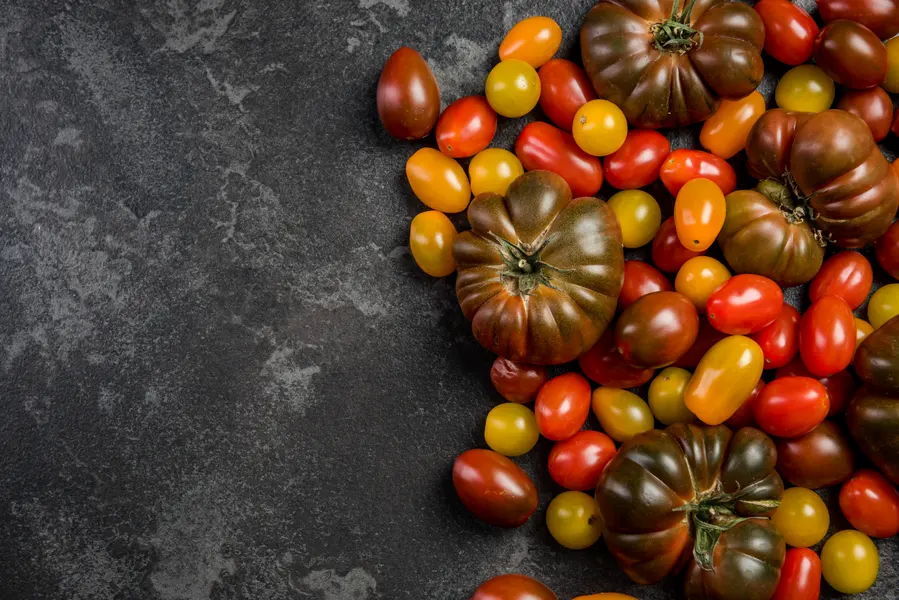 Colorful Tomato Medley — 200-piece jigsaw puzzle