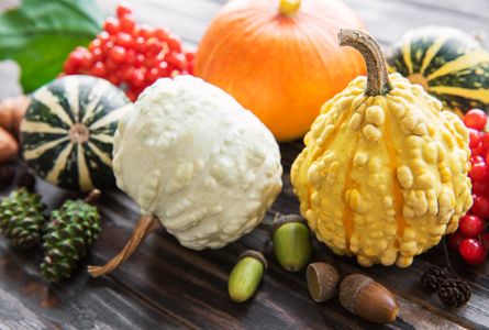 Autumn Harvest Display — 64-piece jigsaw puzzle