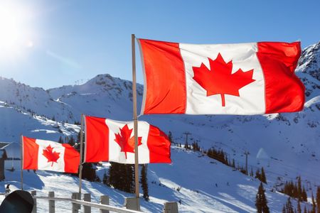 Canadian Winter Glory — 500-piece jigsaw puzzle