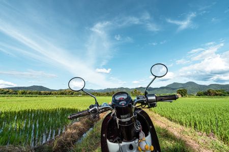 Scenic Ride Through Fields — 200-piece jigsaw puzzle
