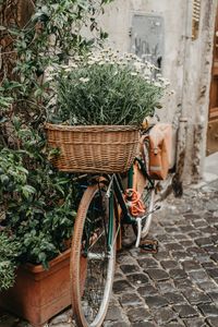 Charming Bicycle Bloom — 400-piece jigsaw puzzle
