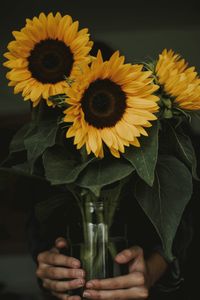Golden Sunflowers — 100-piece jigsaw puzzle