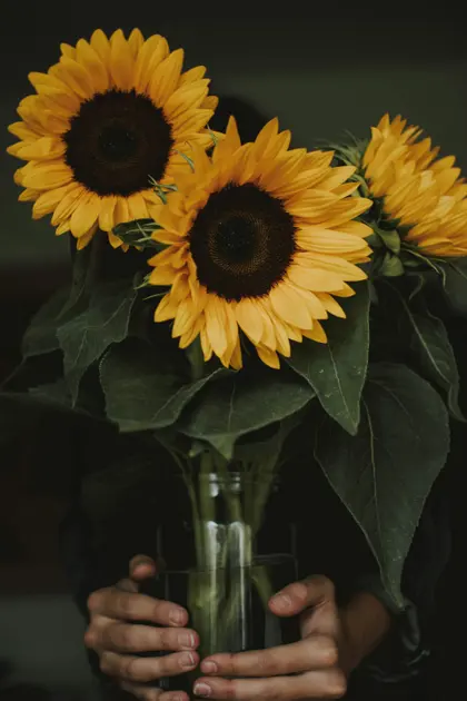 Golden Sunflowers — 100-piece jigsaw puzzle