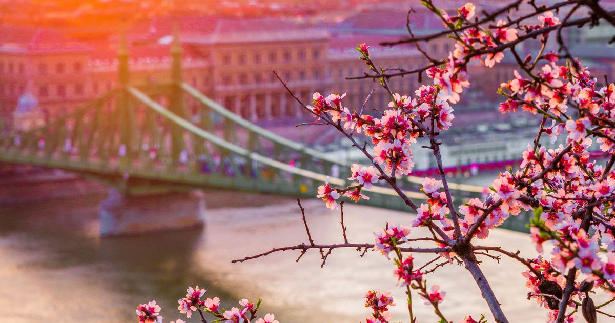 Time Jigsaw Daytime Jigsaw Puzzles Online | JigsawPix – Page 18