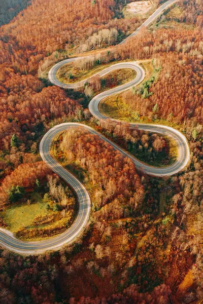 Winding Autumn Road — 150-piece jigsaw puzzle