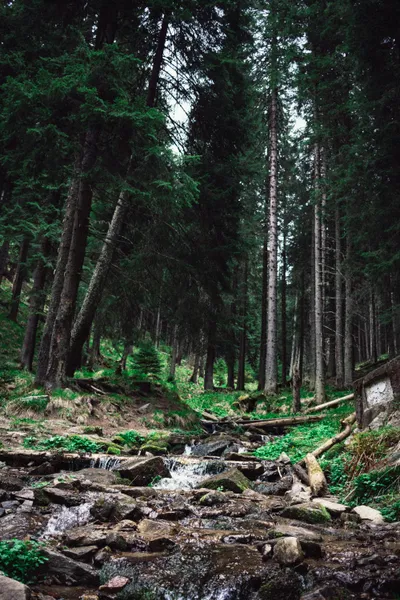 Forest Stream Serenity — 300-piece jigsaw puzzle